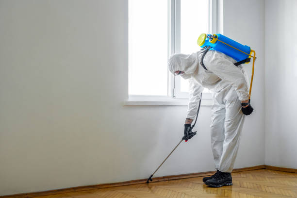 Wildlife Control Services in Pima, AZ