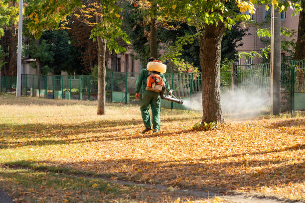 Best Mosquito Control Services  in Pima, AZ