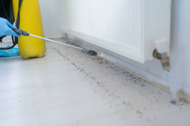 Pest Control Cost in Pima, AZ